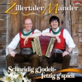 I möcht dir nur dankschön sag'n - Zillertaler Mander -  Midifile Paket  / (Ausführung) Playback mit Lyrics